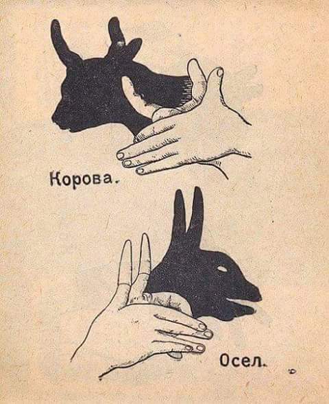 15726898 1375344442485387 2585979973224173650 n