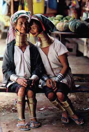 gambar-perhiasan-leher-aneh 2