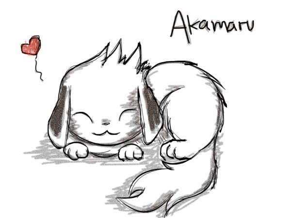 Akamaru20from20Naruto  600 450 q50