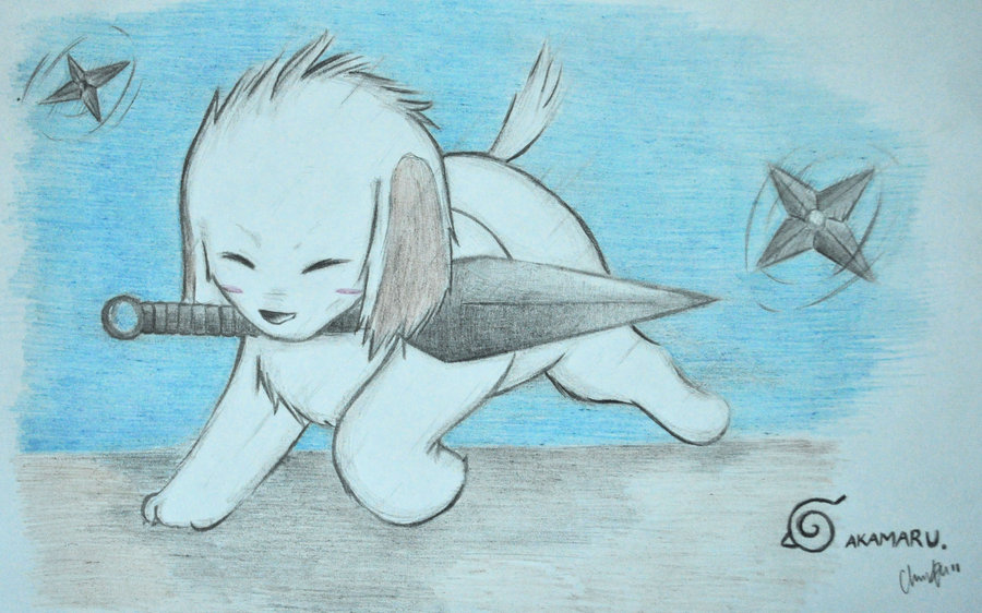  akamaru  by christinaminhau-d3bgbvk