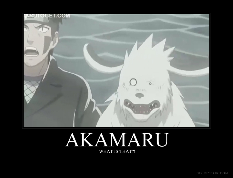 akamaru   what is that  by kyrokakkyr-d3iby7o