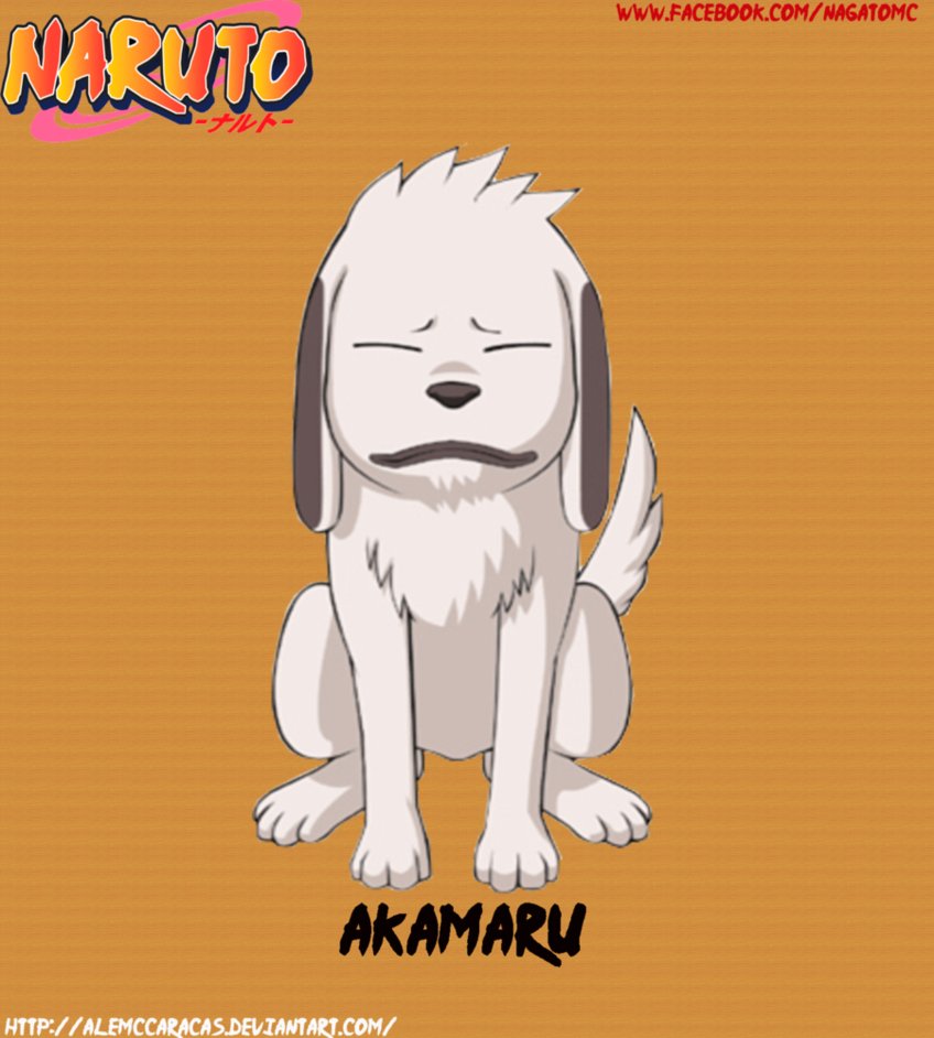 akamaru  vector  by alemccaracas-d5emibo