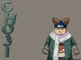Choji-63915