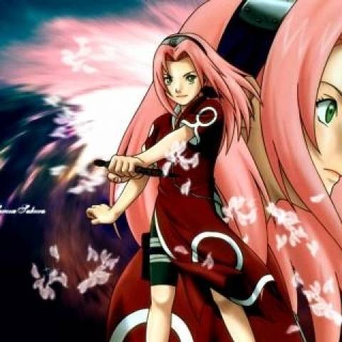 127468-17314-sakura