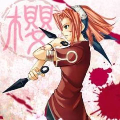 145375-42343-sakura