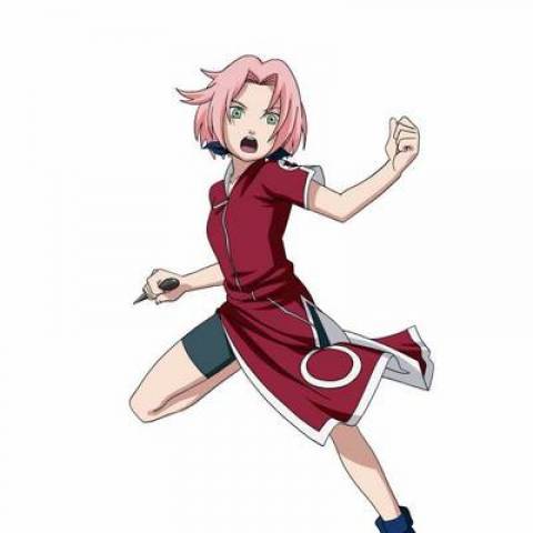 180791-29281-sakura