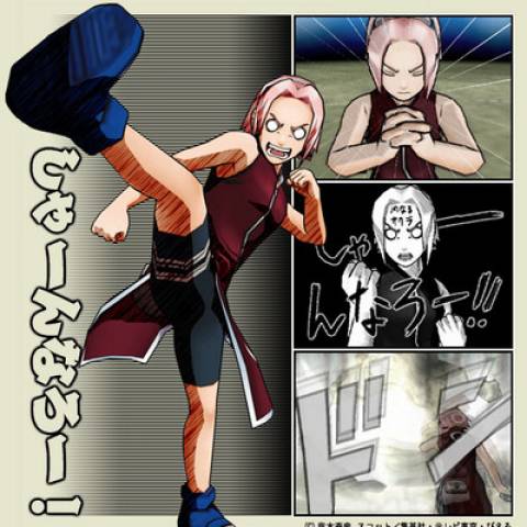 180800-41248-sakura